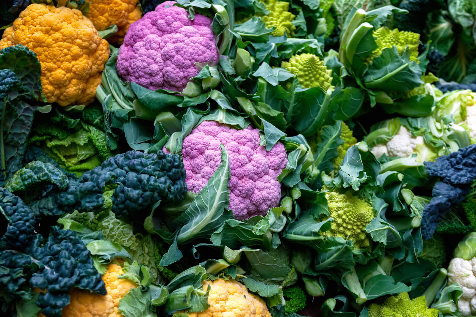 Broccoli vs Cauliflower Differences